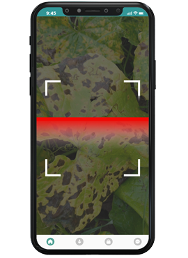 crop-doctor-scan