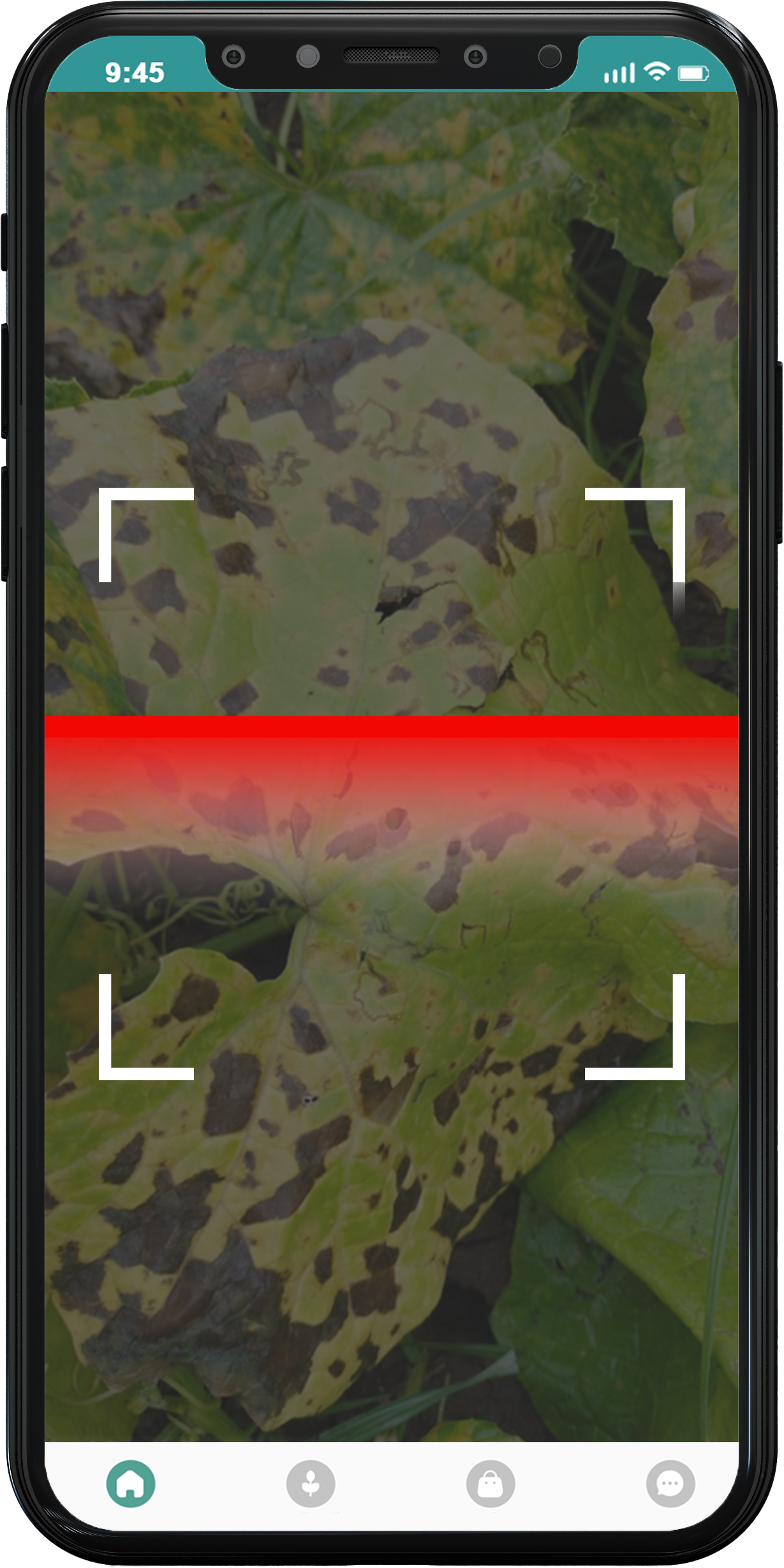 crop doctor scan