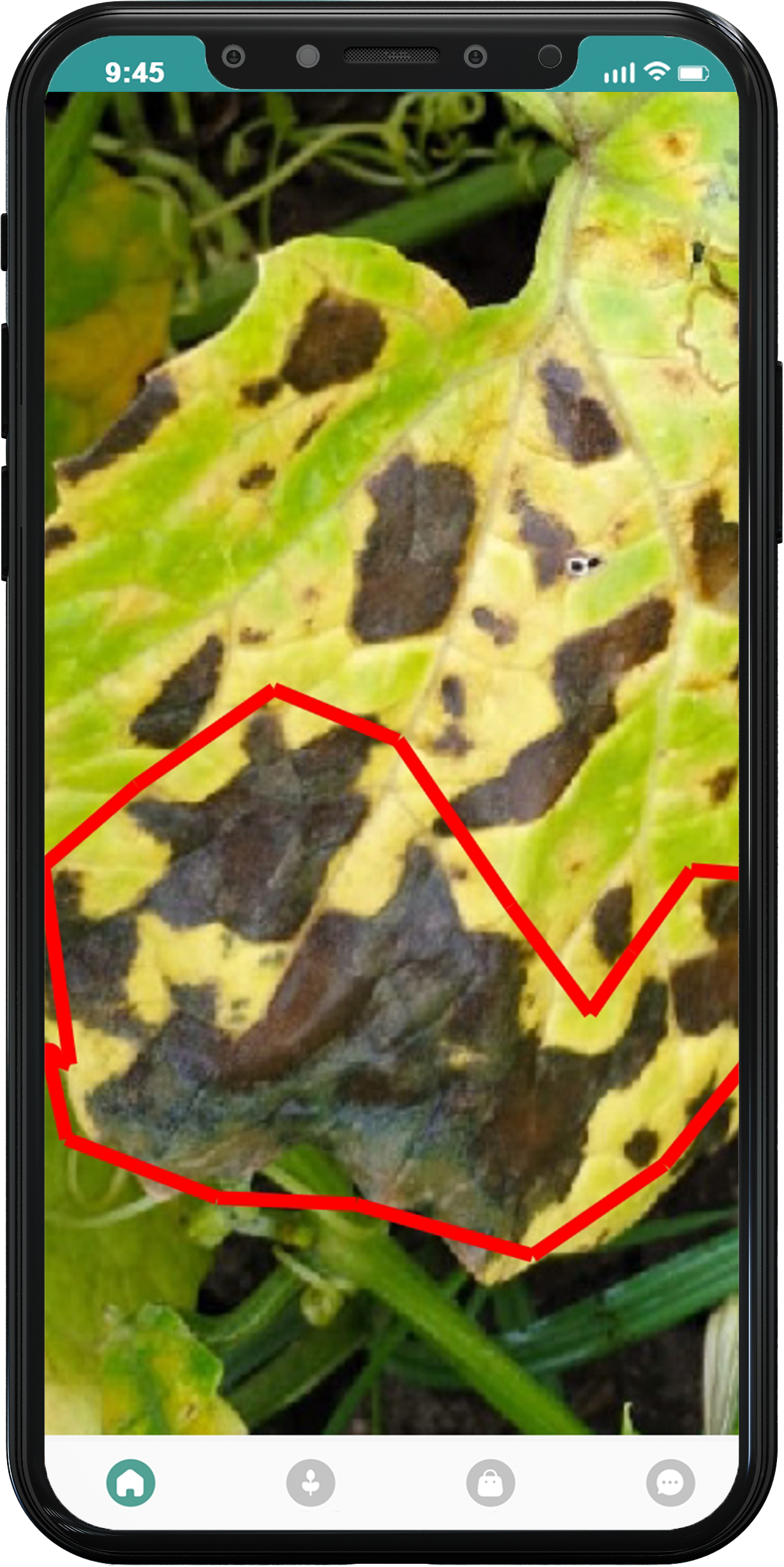 crop doctor scan