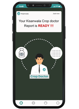 crop-doctor-scan