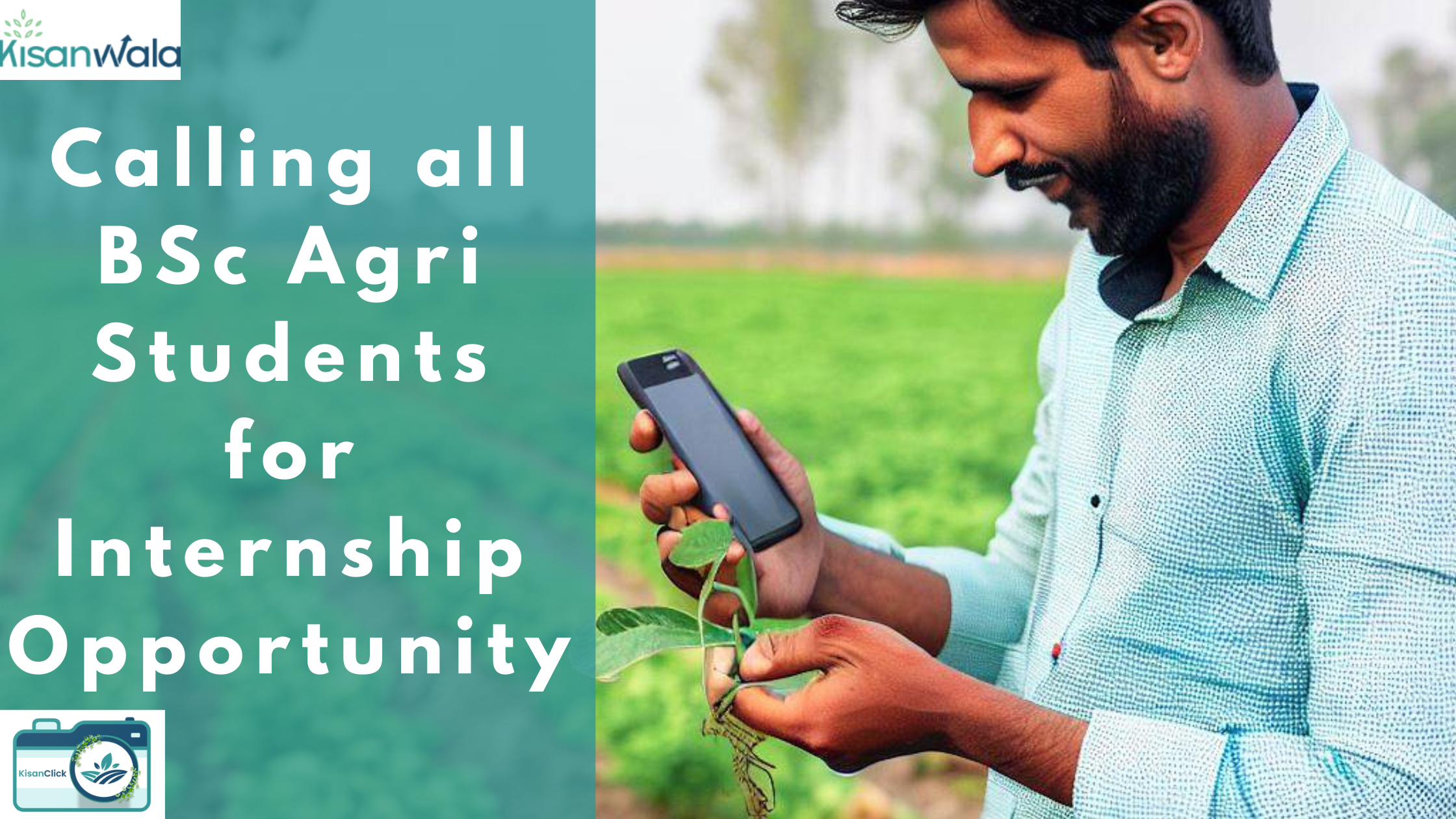Kisanwala Growth Agri Internship Program: Nurturing Future Agronomists - Unlock Your Potential in BSc Agri Internship Join Our Agricultural Journey from 20th June, 2023.